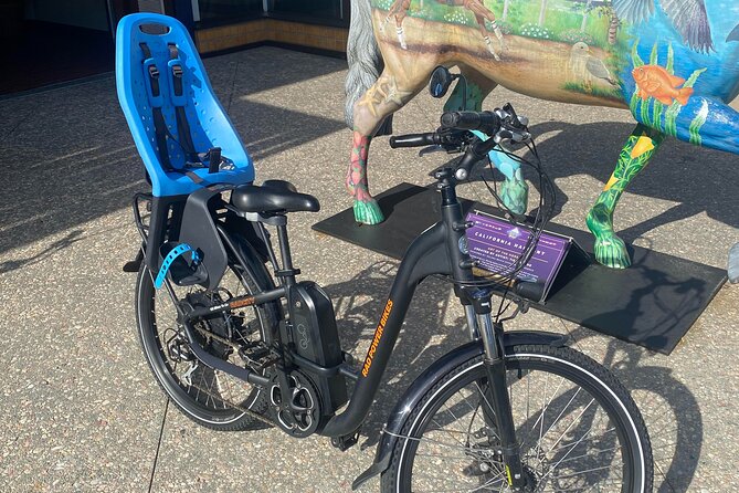 1 Day Electric Bike Rental in Solana Beach - Carlsbad as the northern turnaround
