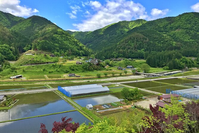 1-Day Private Rural E-Bike Tour in Hida - A local lunch gives the ride a proper pause