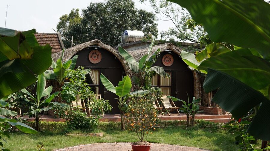 2 day Trang An - Mua cave - Cycling with Bungalow stay - From Hanoi to Hoa Lu and King Dinh’s temple