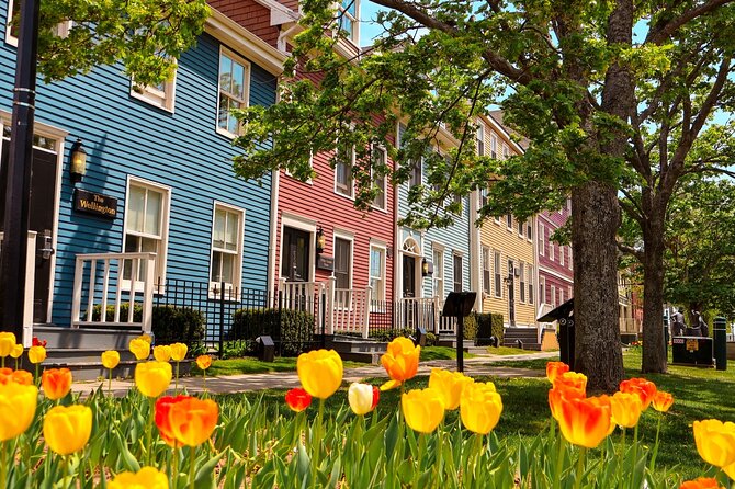 2 Hour E-bike tour of Charlottetown - Key things to know before you book