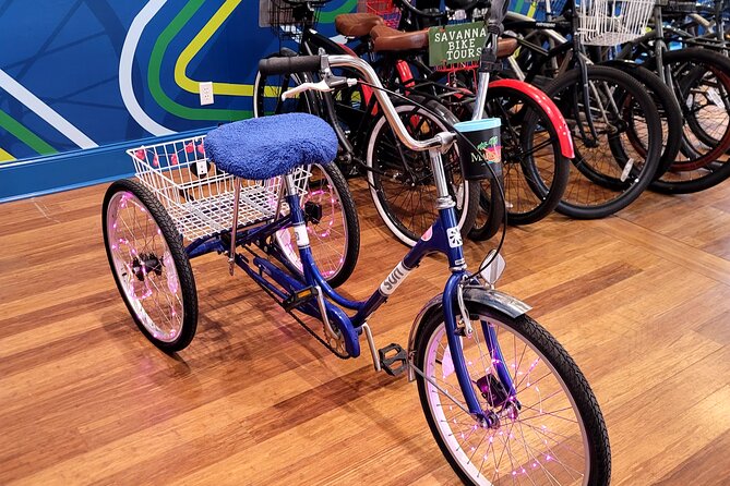 2-Hour Explore Savannah Bike Tour - Andrew Low House and Monterey Square
