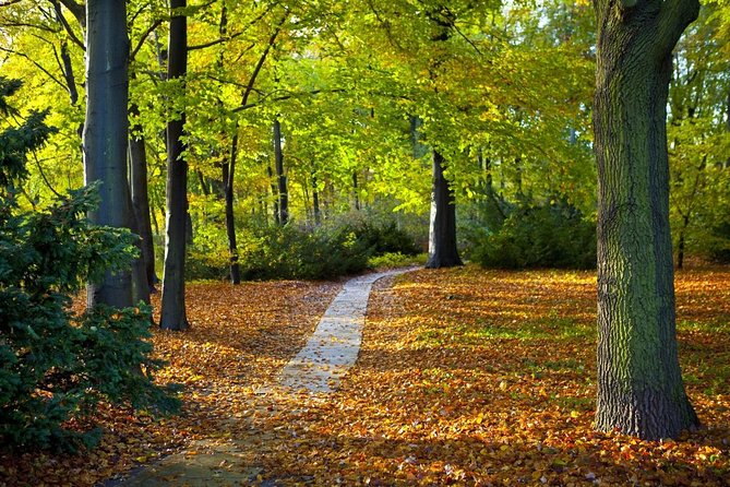 3-Hour Bike Tour of Tiergarten and Berlin's Hidden Places - A three-hour ride through Berlin’s quieter side