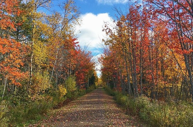 3 Hour E-Bike Tour of Charlottetown - The Confederation Trail brings more riding