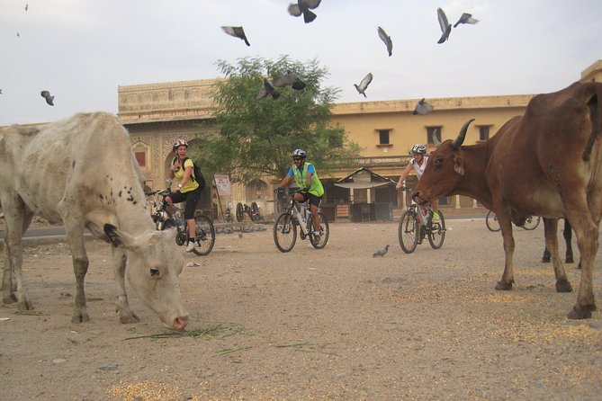 3-Hour Morning Bike Tour of Jaipur - Albert Hall Museum with the city still quiet