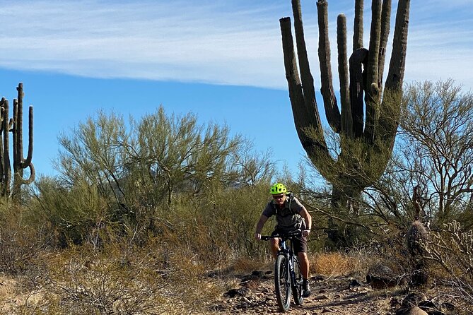 3 Hour Sonoran Desert Private Guided Mountain Bike Tour - Meeting Paul at the Scottsdale trailhead