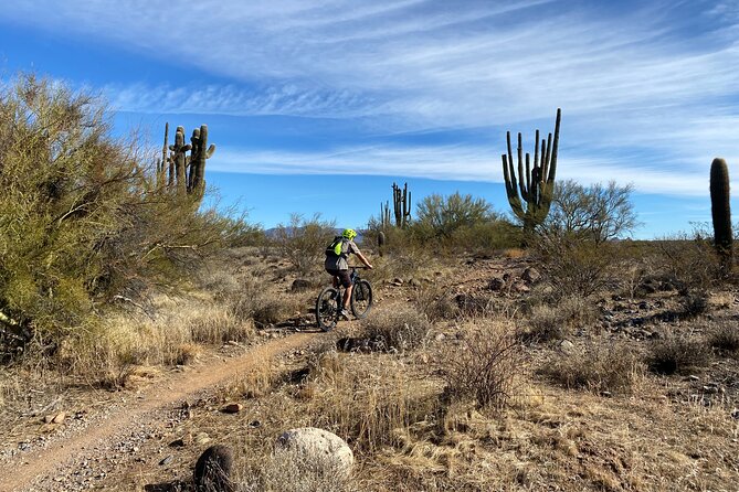 3 Hour Sonoran Desert Private Guided Mountain Bike Tour - Learning the desert while you ride
