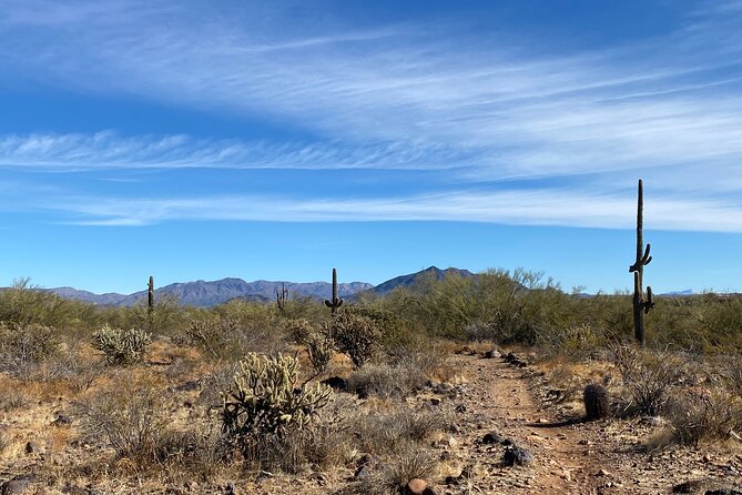3 Hour Sonoran Desert Private Guided Mountain Bike Tour - The bikes, safety gear, and comfort details