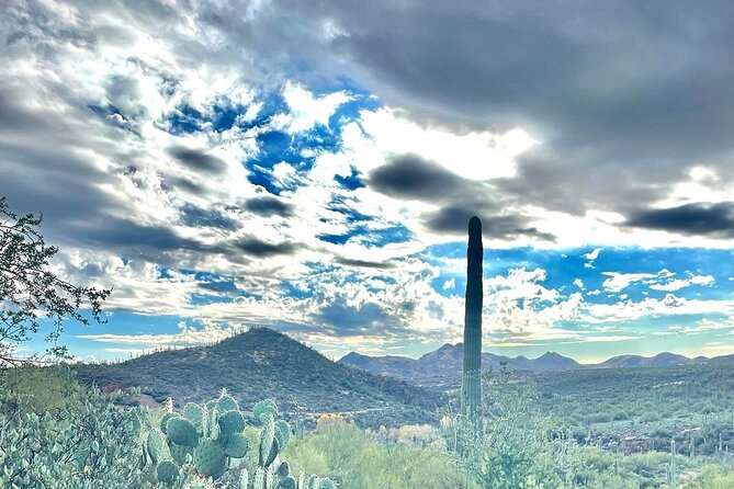 3 Hour Sonoran Desert Private Guided Mountain Bike Tour - Choosing the right trail for your ability