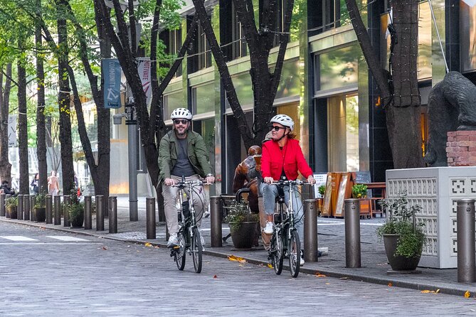 3-Hour Tokyo Private E-Bike Tour Starting from Your Hotel - Key points to know before booking