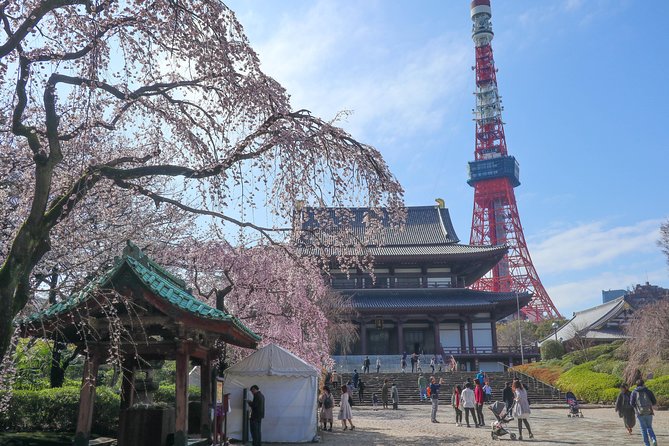 5-Hour Tokyo & Edo Hidden Gem Bike Tour with Lunch - Why a bicycle works so well in eastern Tokyo