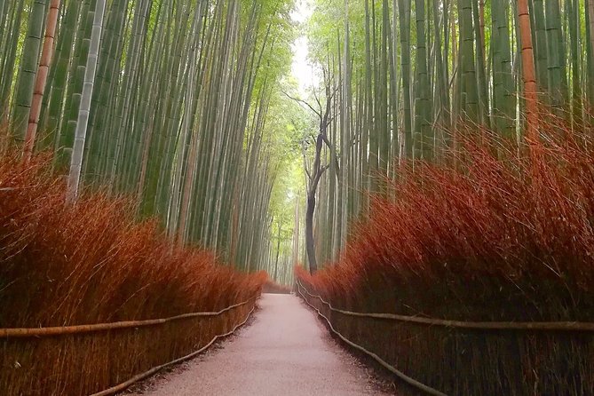 5 Top Highlights of Kyoto Full Day Bike Tour (E-bike option) - What the price includes, and what it does not