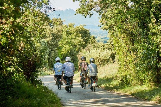 A Tour in Provence in a typical French motorized bike : the Solex - What the $65.35 price gets you
