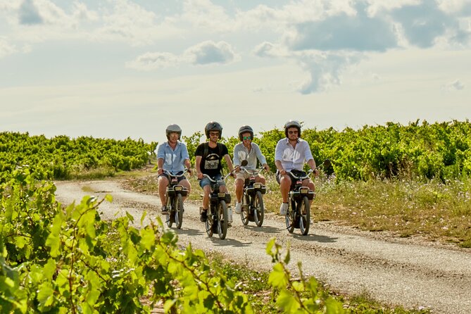A Tour in Provence in a typical French motorized bike : the Solex - Dentelles de Montmirail: Provence’s dramatic first view