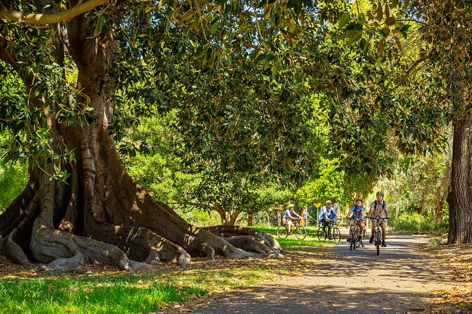 Adelaide City to Sea Bike Tour - The River Torrens Linear trail is the heart of the ride