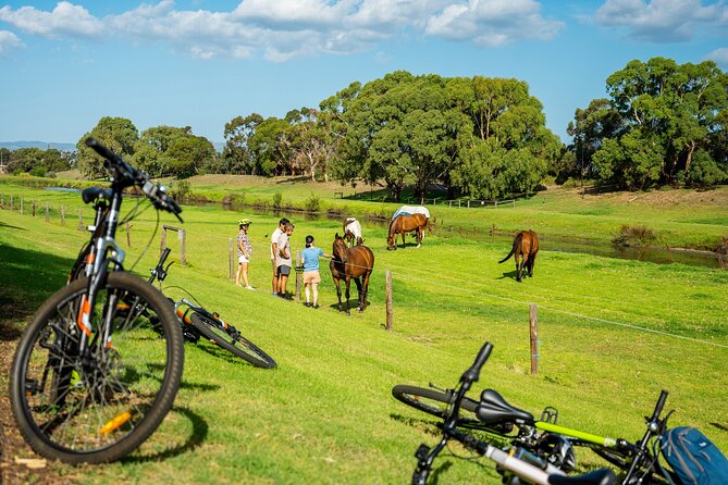 Adelaide City to Sea Bike Tour - Henley Beach adds food and sea air