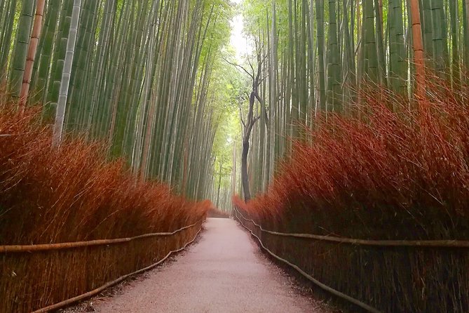 Afternoon Kyoto Bike Tour: Bamboo Forest, Monkeys & Hidden Spots - Togetsukyo Bridge and Arashiyama’s best view