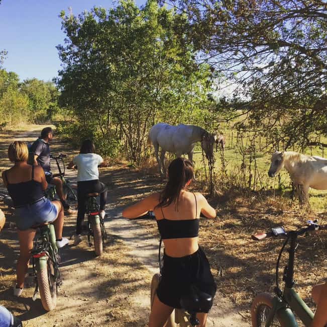 Aigues Mortes: safari en vélo - Ebike tour in Camargue - Riding through vineyards, marshes, and canals