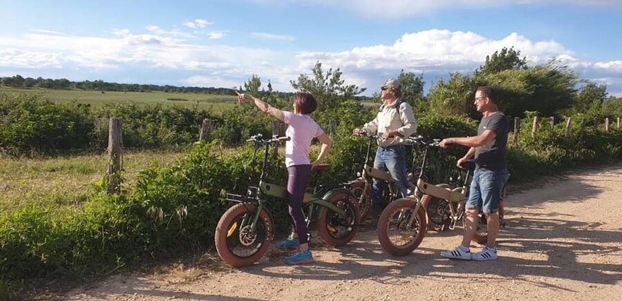 Aigues Mortes: safari en vélo - Ebike tour in Camargue - Who should book this Camargue bike tour?
