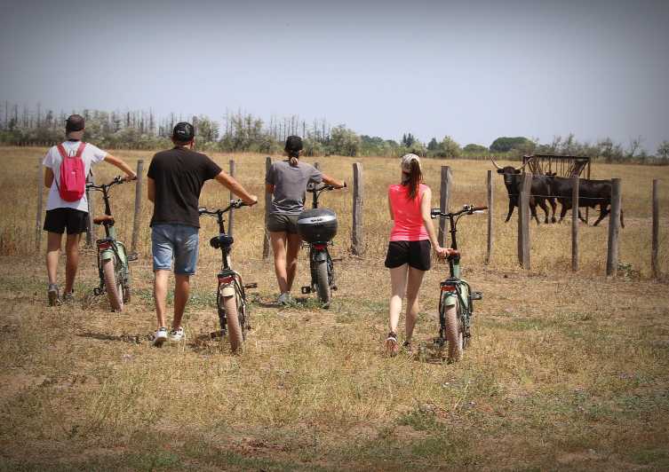 Aigues Mortes: safari en vélo - Ebike tour in Camargue - Why the electric bike matters on this route