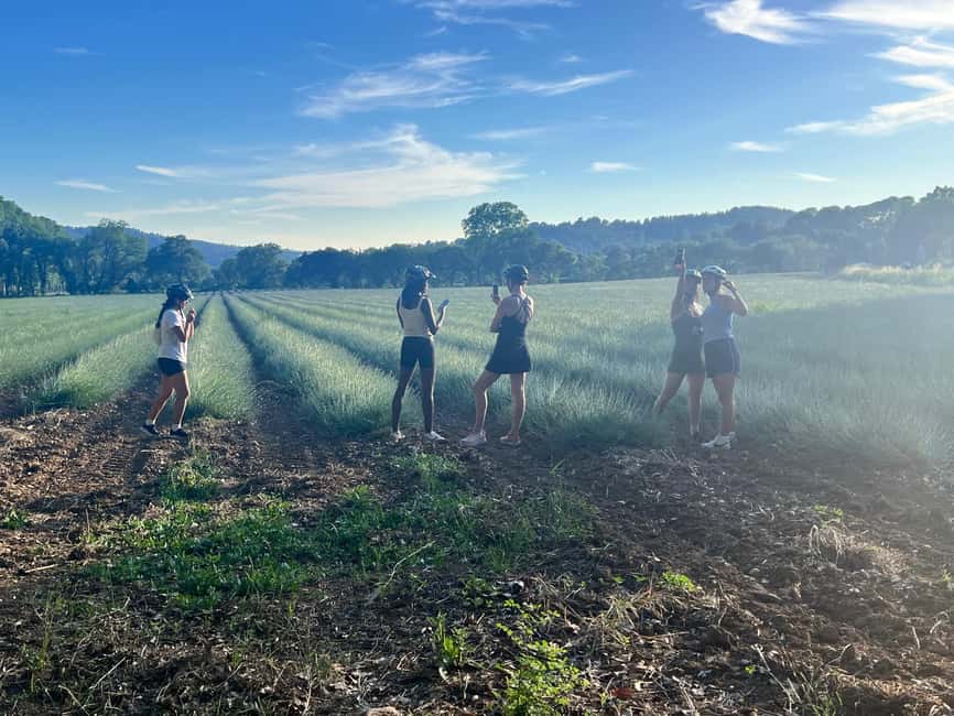 Aix-en-Provence: E-Bike Tour of Mount Sainte-Victoire - The countryside viewpoints and Cézanne connection