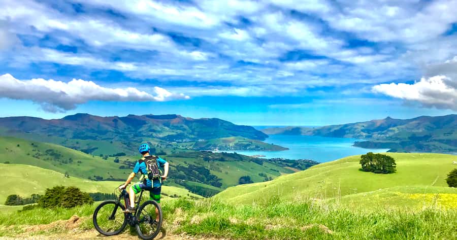 Akaroa: Guided Electric Mountain Bike Tour-Lava Loop - Who should book the Lava Loop?