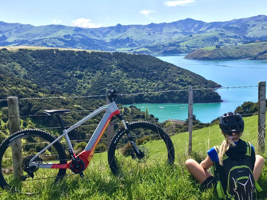 Akaroa: Guided Electric Mountain Bike Tour-Lava Loop - Is $104 a fair price?
