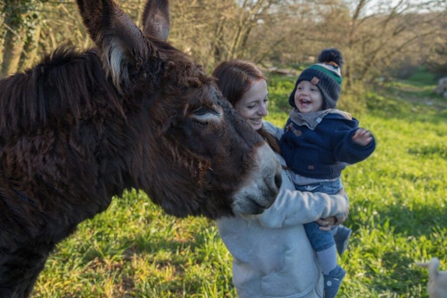 Alberobello: Guided e-bike tour + mill & donkey farm - What the $55 price really covers