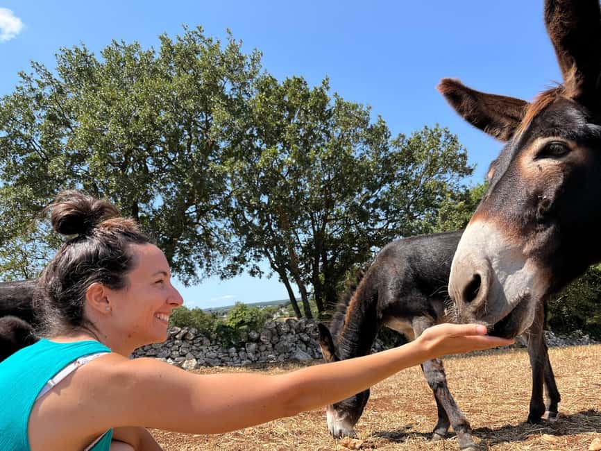 Alberobello: Guided e-bike tour + mill & donkey farm - Practical details that matter