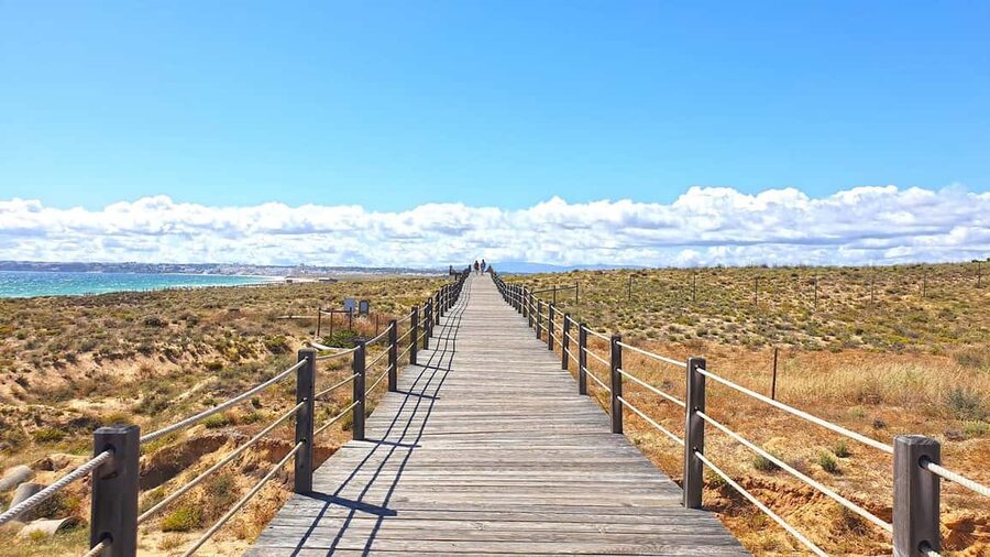 Albufeira: E-Bike tour of Nature Trails and Tradition - Is $47 a fair price?