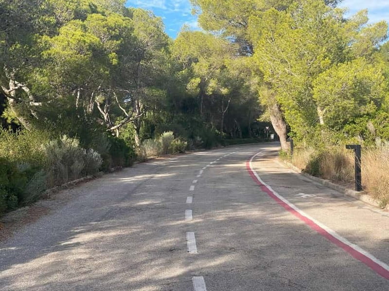 Albufera Bike Adventure: Wetlands, Beaches & Biodiversity - Five things to know before you book