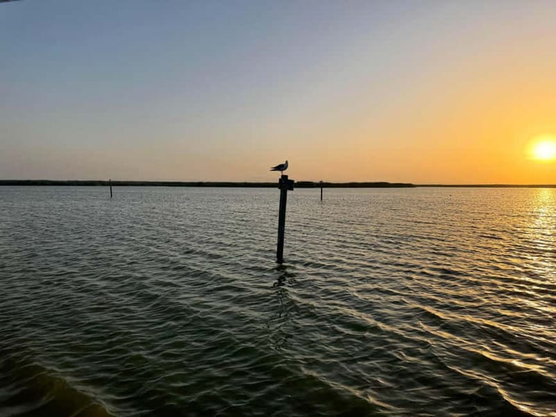 Albufera Bike Adventure: Wetlands, Beaches & Biodiversity - Leaving Ruzafa for the Albufera coast