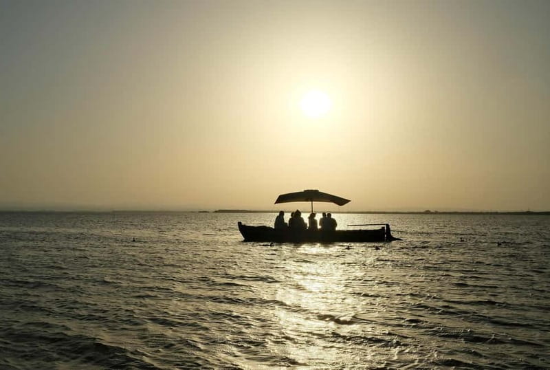 Albufera Bike Adventure: Wetlands, Beaches & Biodiversity - Pine forest, dunes, and the El Saler coast
