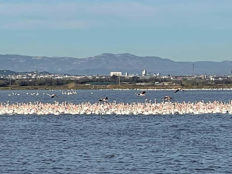 Albufera Bike Adventure: Wetlands, Beaches & Biodiversity - Martin and the quality of the guiding