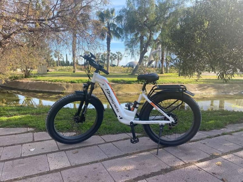 Albufera Bike Adventure: Wetlands, Beaches & Biodiversity - Pinedo gives the ride a gentle start