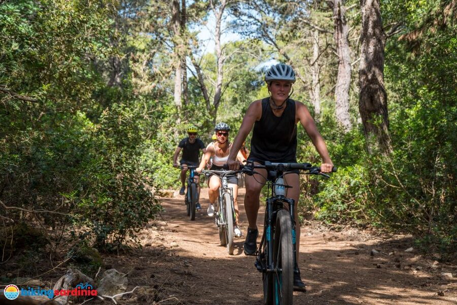 Alghero: E-bike tour inside the Natural Park of Porto Conte - How technical is the four-hour route?