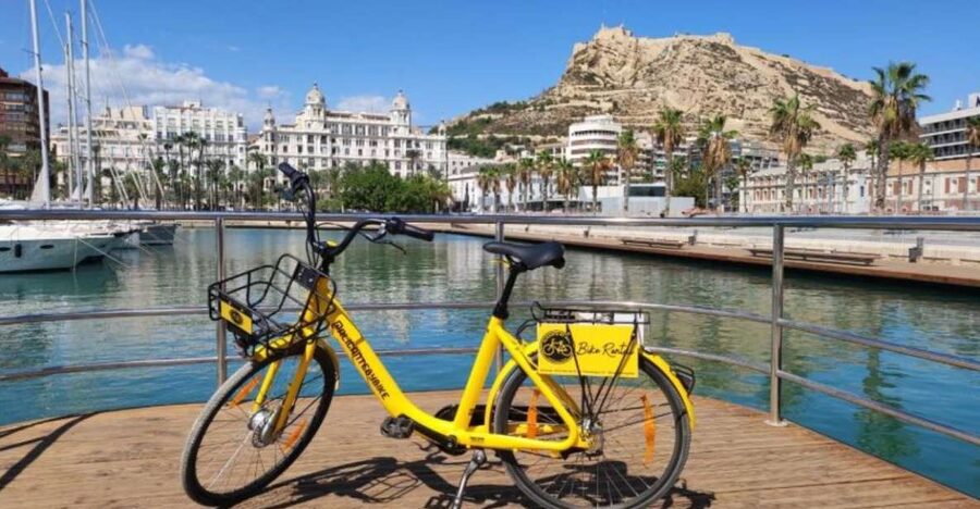Alicante: City and Beach Bike Tour - Key points to know before you pedal off