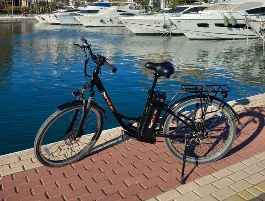 Alicante City Bike Tour. Only Small groups - Key points to know before you book