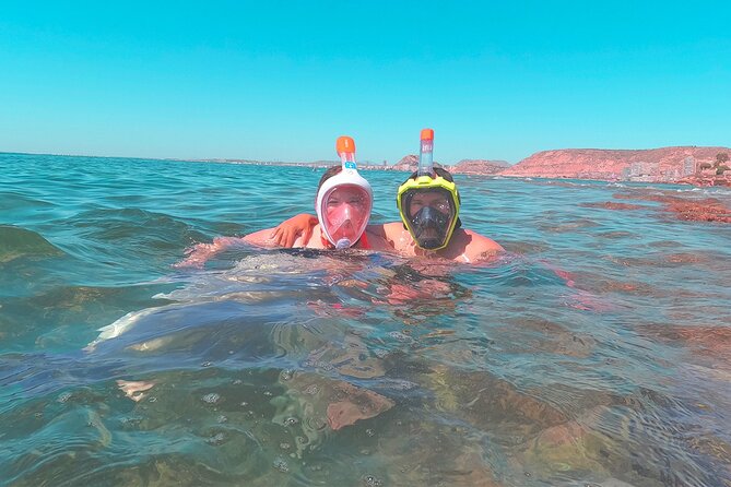 Alicante E-Bike Coast Tour with Román Fishpond and Snorkeling - What the bikes are really like