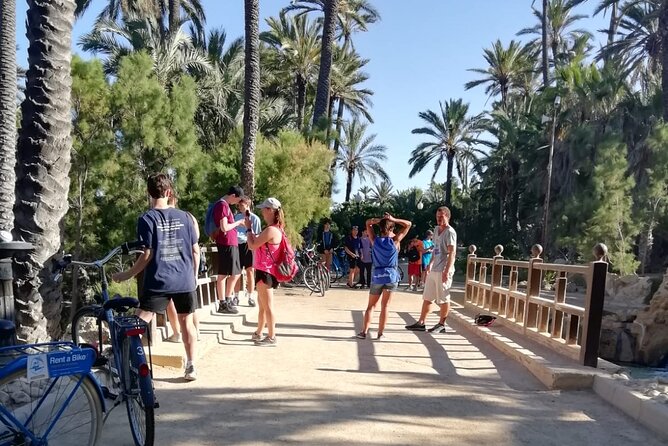 Alicante Highlights Bike Tour (min 2 people to book) - How much value do you get for $42.24?