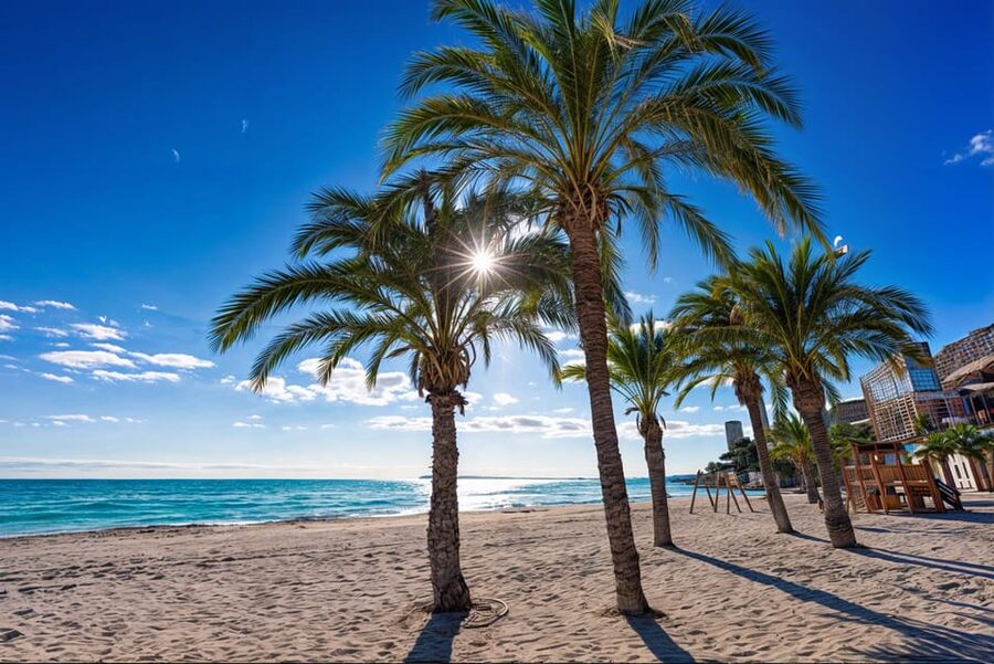Alicante: Spot the Mediterranean by E-bike - Starting at Pl. Quijano in Alicante