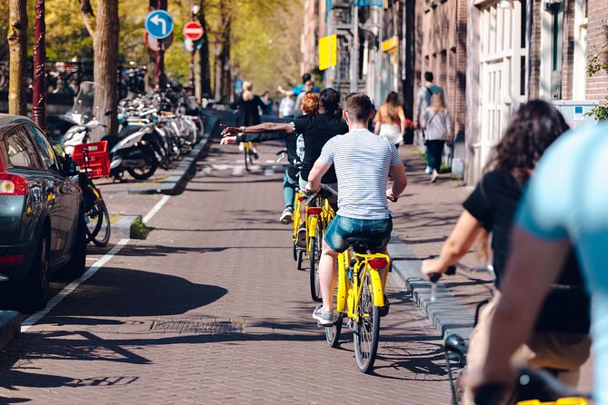 Amsterdam Anne Frank and Jewish History E Bike Tour - The Dokwerker and the February Strike
