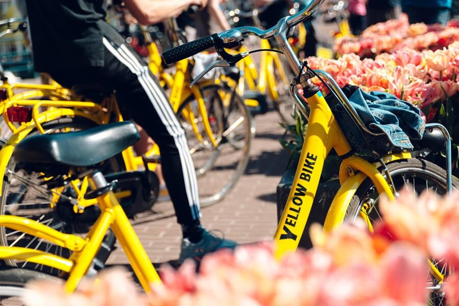 Amsterdam Bike Rental: Central Station & City Center - Choosing the Right Bike and Brake Setup