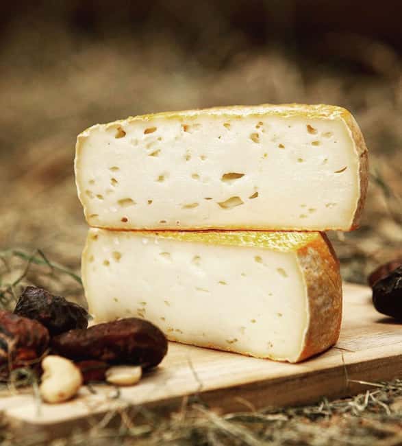 Amsterdam: Cheese Tasting, Windmill & Countryside Bike Tour - What you receive for $46