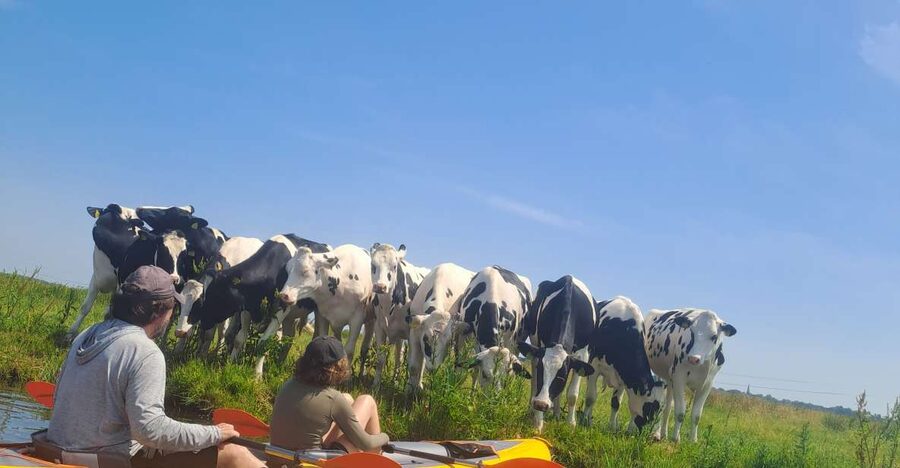 Amsterdam: Countryside Bike and Kayak Guided Tour - Key points at a glance