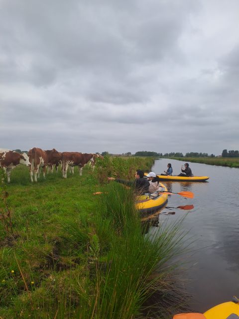 Amsterdam: Countryside Bike and Kayak Guided Tour - Leaving Amsterdam by bike