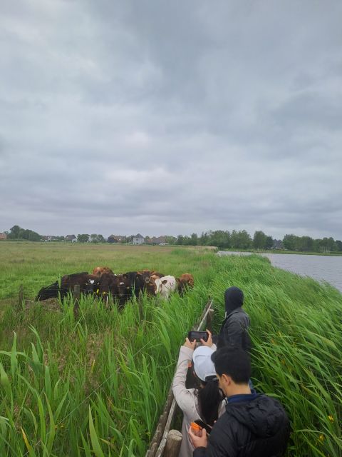 Amsterdam: Countryside Bike and Kayak Guided Tour - Broek in Waterland by kayak