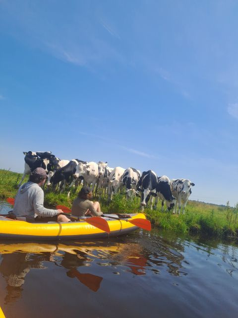 Amsterdam: Countryside Bike and Kayak Guided Tour - The ride back through Amsterdam-Noord