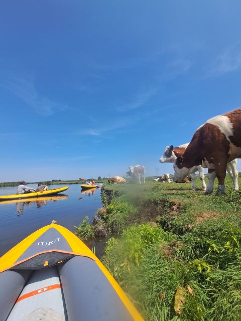 Amsterdam: Countryside Bike and Kayak Guided Tour - What the $84 price includes