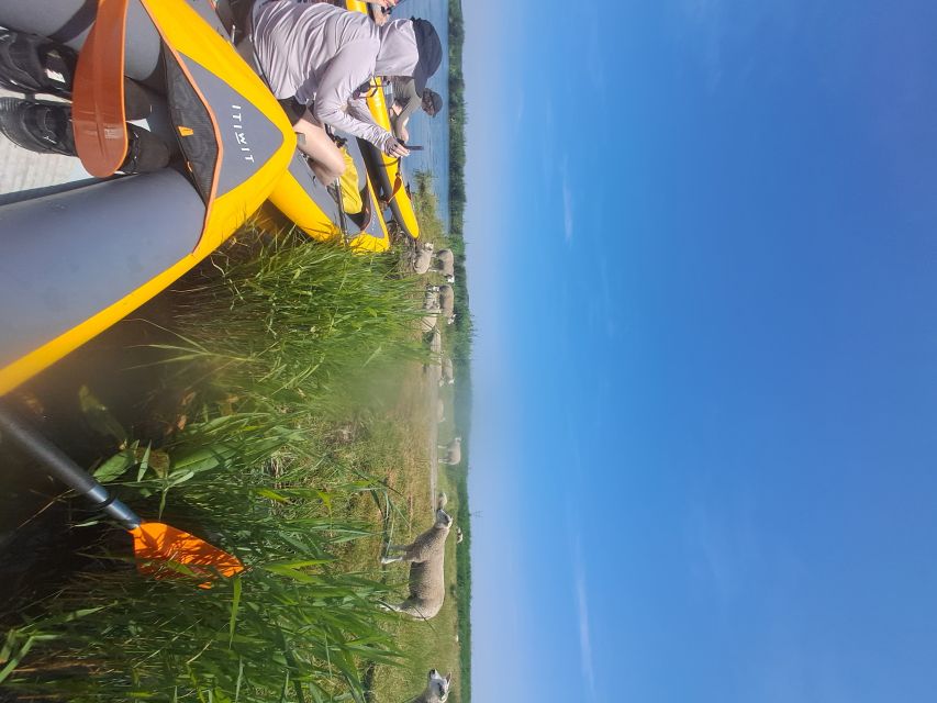 Amsterdam: Countryside Bike and Kayak Guided Tour - Practical details before you book