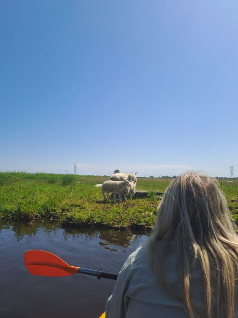 Amsterdam: Countryside Bike and Kayak Guided Tour - d’Admiraal Windmill and the story in the view